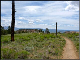 The meadow that starts the clockwise Fairyland Trail. We were the only ones going clockwise