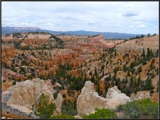 A hoodoo vista