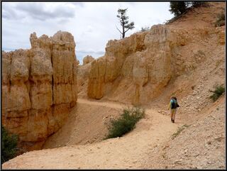 Walking amongst the hoodoos
