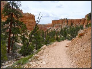 A great trail shot