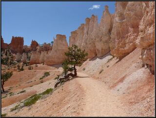 Another great trail shot