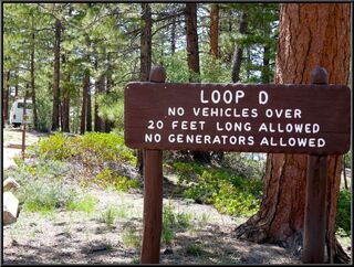 Loop D, we like it