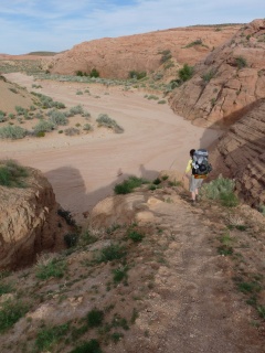 Hiking down into Coyote Gulch