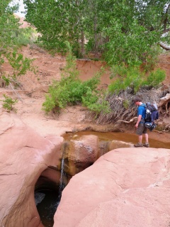 A cool waterfall and the beginning of Coyote Stream