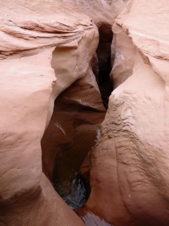 Cutting it's way through the red rock