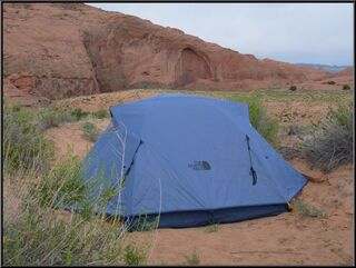 Morning on a sandy meadow above Red Well gulch