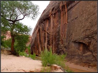 We love the water staining on the cliffs here