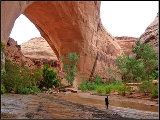 Okay, that is an arch