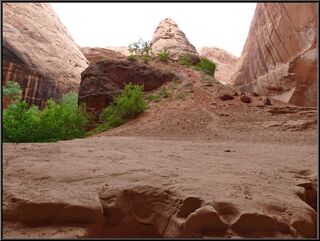 Cool side trail to a cool point
