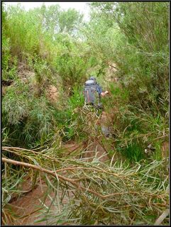 Also the trail out