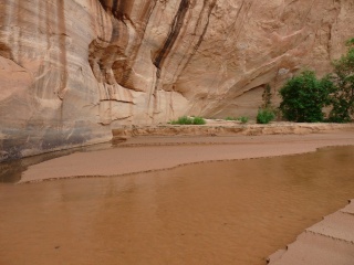The trail out