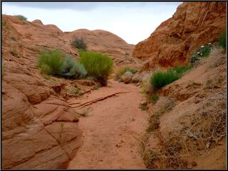 A wrong turn up an old meander