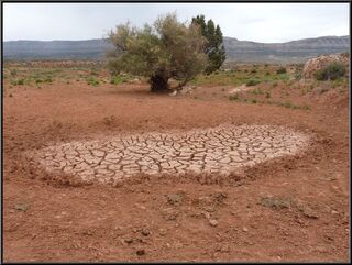 Rain or no, pretty dry country