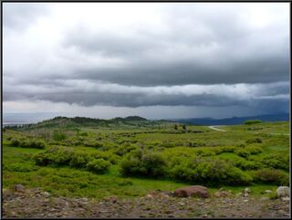 A meadow at 8000 feet on the summit before Torrey