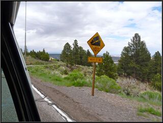 Lot's of steep