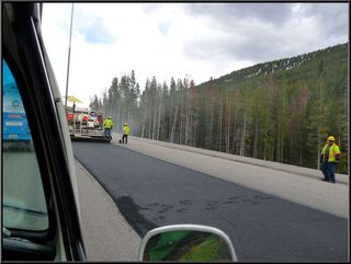 Someone missed the memo about walking on the new asphalt