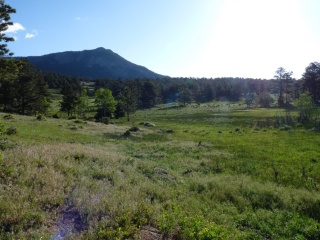 Pretty view from Moraine campground