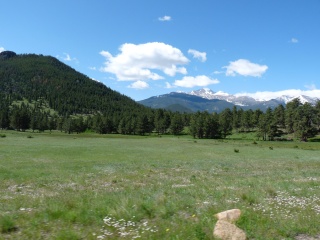 The park is also full of beautiful meadows