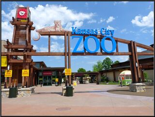 The Kansas City Zoo, 110 degrees with the heat index