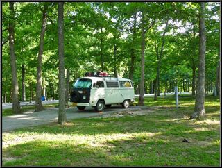 Morning in Graham Cave State Park