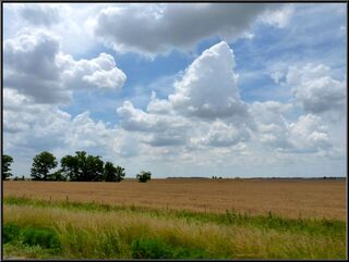 Clouds