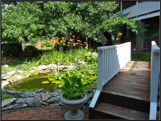 Part of a garden