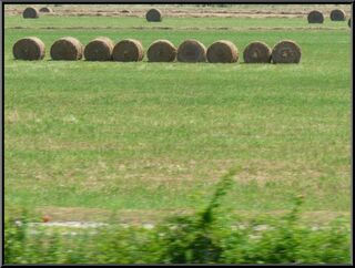 Ahhh, rolled hay