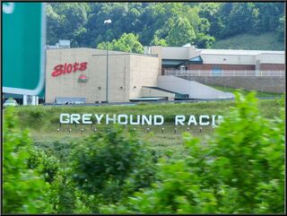 Slots and dog racing