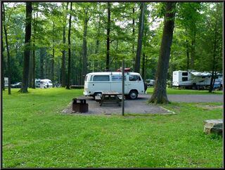 Morning in our pleasantly warm and not damp campground