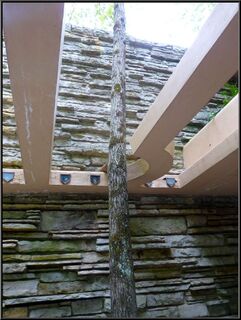Organic architecture