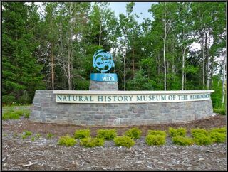 The Wild Center, or the Natural History...