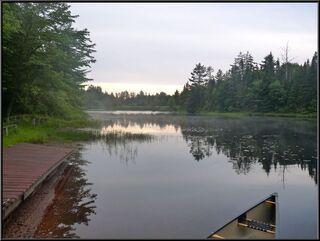 Looking out on a back bay in Rollins Pond