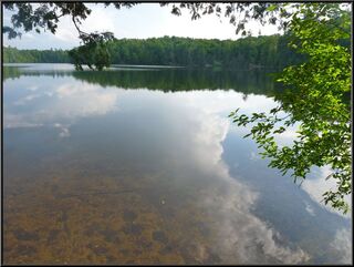 Looking out on Long Pond in the evening