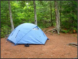 Morning in an exceptional Long Pond campsite