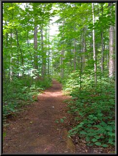 The very pleasant portage from Long to Slang Pond