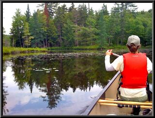 On Slang Pond