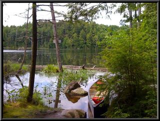 Little Polliwog Pond