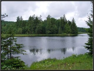 Yet another pretty pond