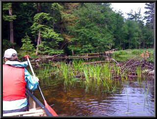 Paddling the really wonderful stream to Floodwood Pond