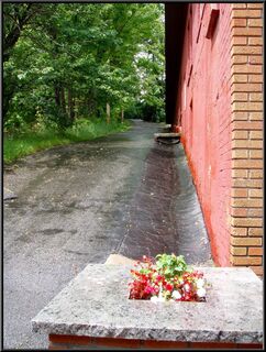 The Palace's alley and drainage solution