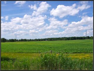 Ontario farmland