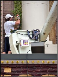 A Corn Palace installer
