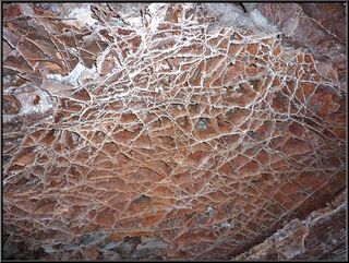 Boxwork