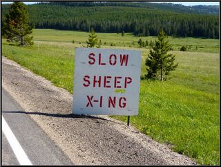 The sign amused us