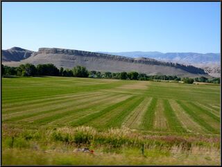 Lines and plateaus