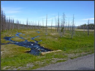 Pretty stream