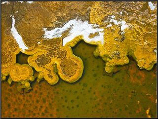 Fascinating formations in the water