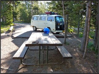 Morning in Norris Campground