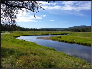 The meander in the meadow below Norris