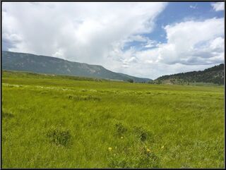 Crossing a meadow
